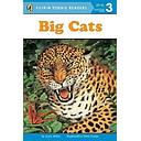 BIG CATS LEVEL 3