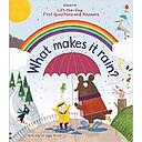 First Questions and Answers: What makes it rain?