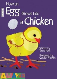 How An Egg Grows Into A Chicken