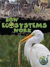 How Ecosystems Work
