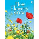 How Flowers Grow