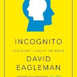 Incognito: The Secret Lives of The Brain