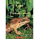 Mal-From Tadpole To Frog