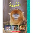 القرود وحيوانات لبونة أخرى