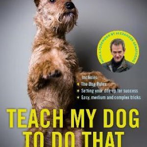 Teach My Dog To Do That