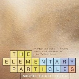 The Elementary Particles