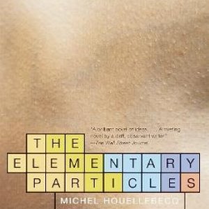 The Elementary Particles