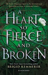 A Heart So Fierce and Broken