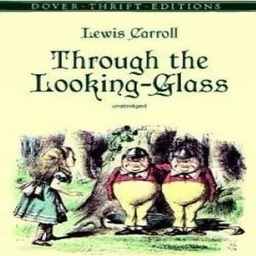 Through the Looking-Glass