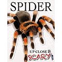 Up Close & Scary Spider
