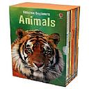 Usborne Beginners Animals Box Set