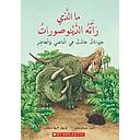 ما الذي رأته الدينوصورات