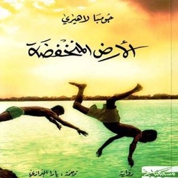 الأرض المنخفضة