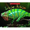 حرباءة، حرباءة