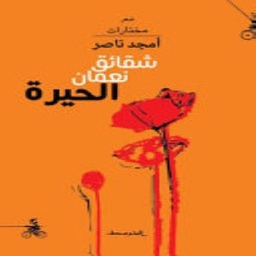 شقائق نعمان الحيرة