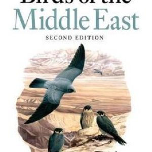 Birds of the Middle East