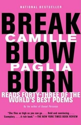 BREAK BLOW BURN