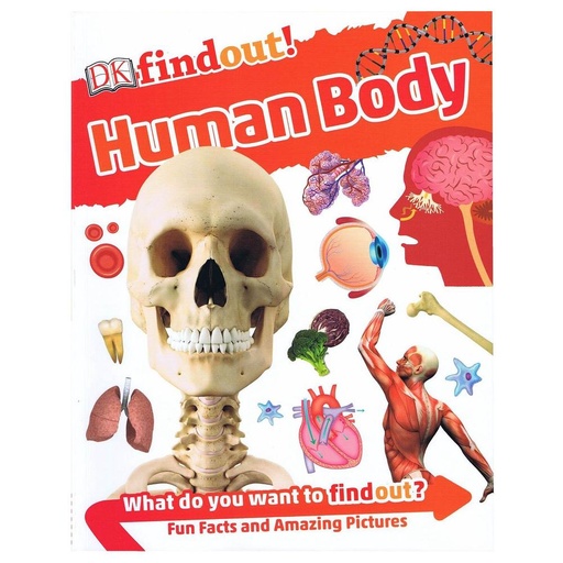 Human Body